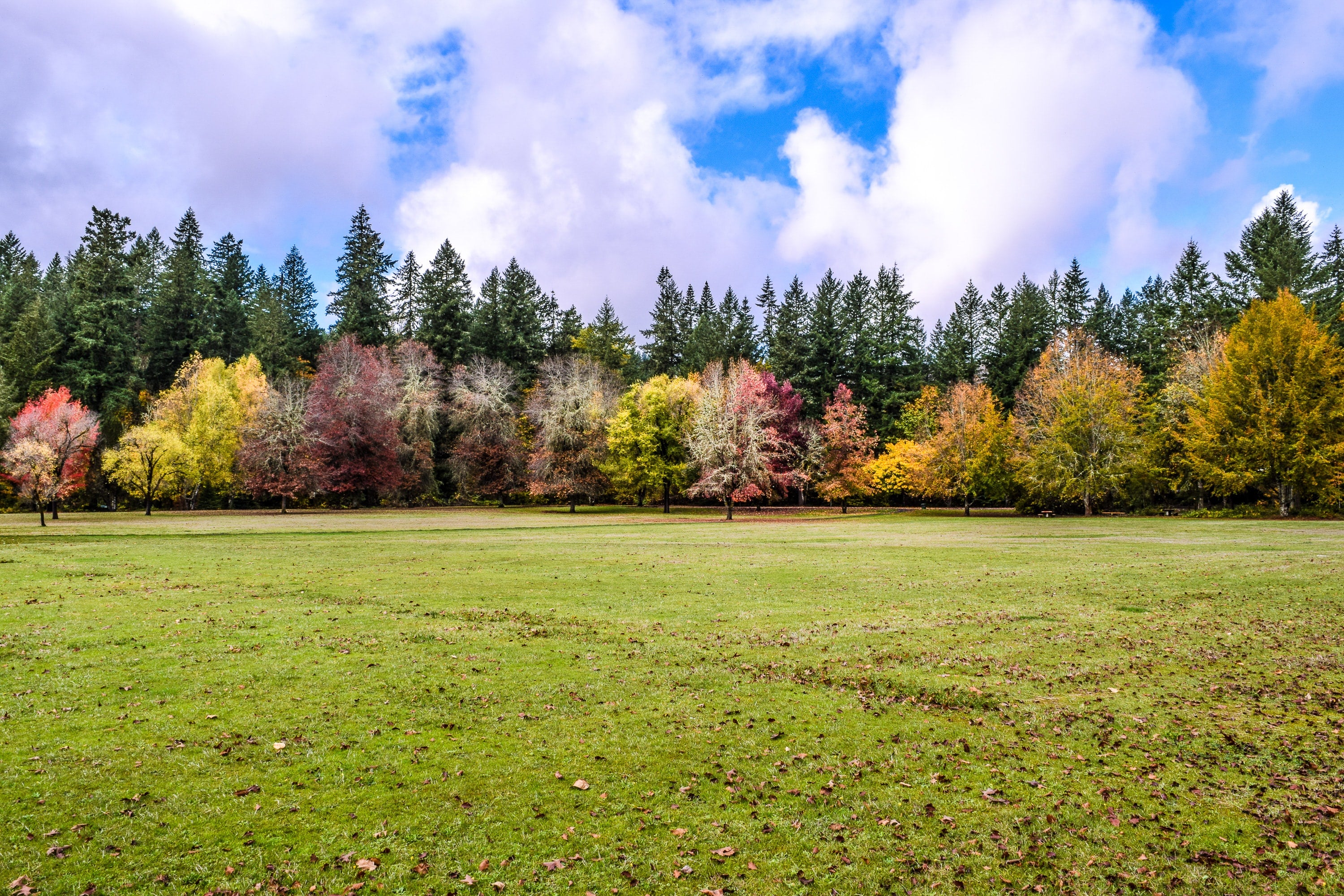 Fall Topdressing/Overseeding