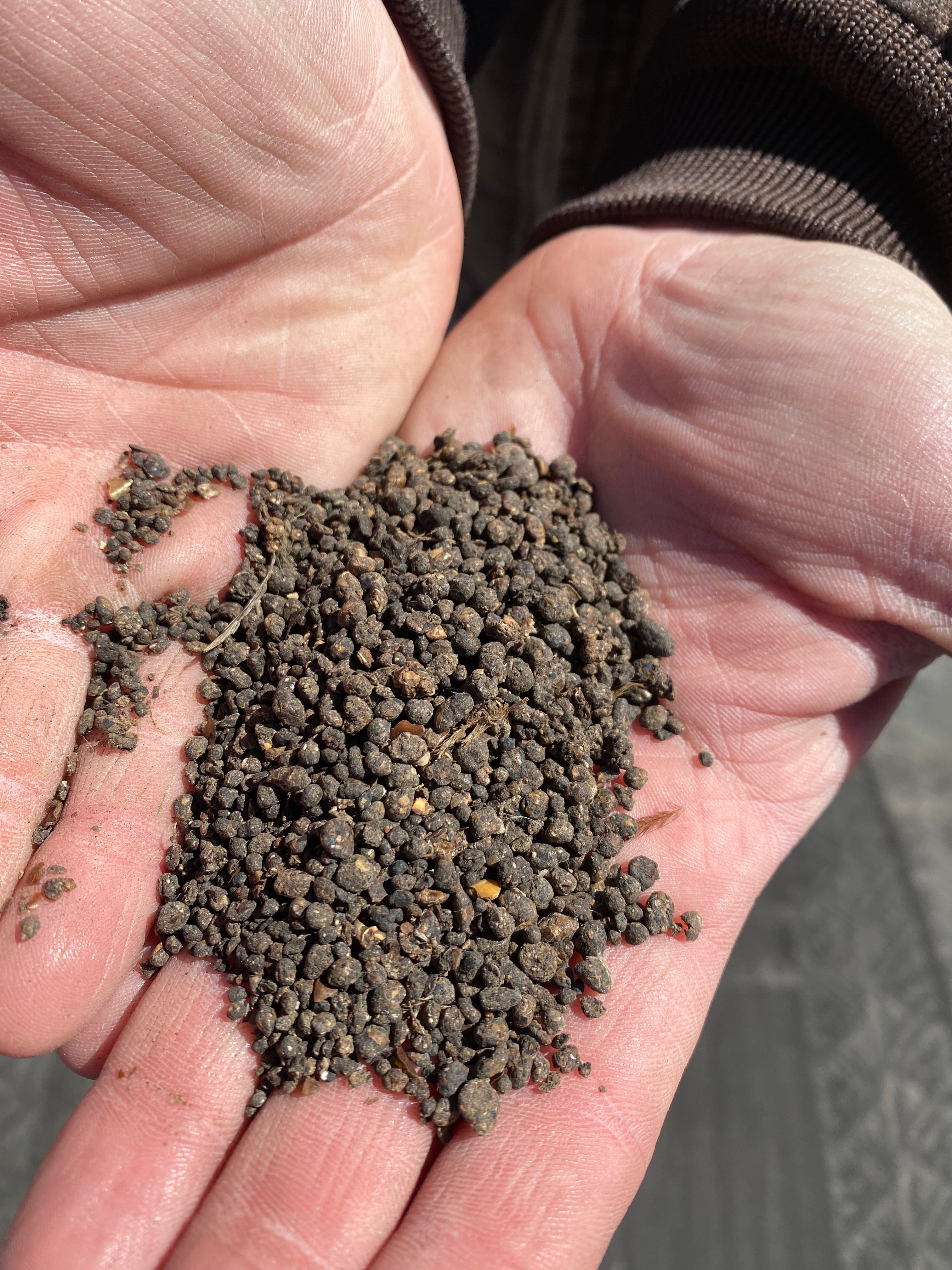 4-4-4 Organic Granular Fertilizer with Biology