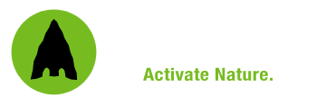 Mirimichi Green